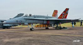 FA-18 Espagnol 0002  LERX NET.jpg